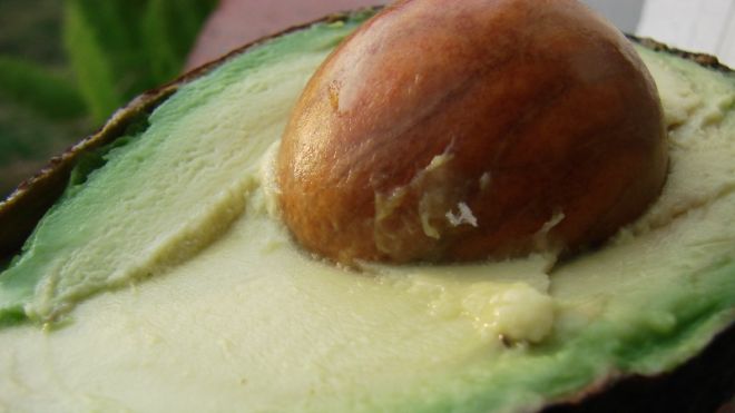 Yes, You Can Eat Avocado Pits