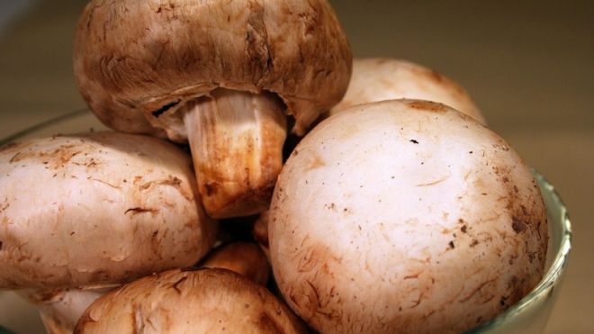 Keep Mushrooms Fresh Longer By Storing Them In An Open Paper Bag