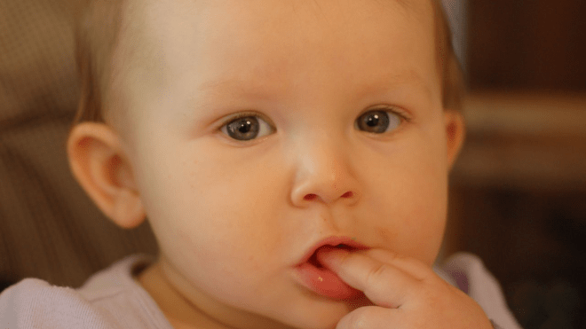 Parents, Sample Your Baby’s Snacks For Safety