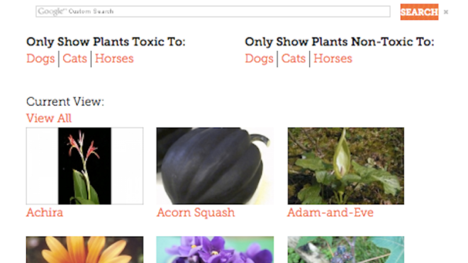 This Web Index Tells You If A Plant Is Safe For Pets Before You Buy It