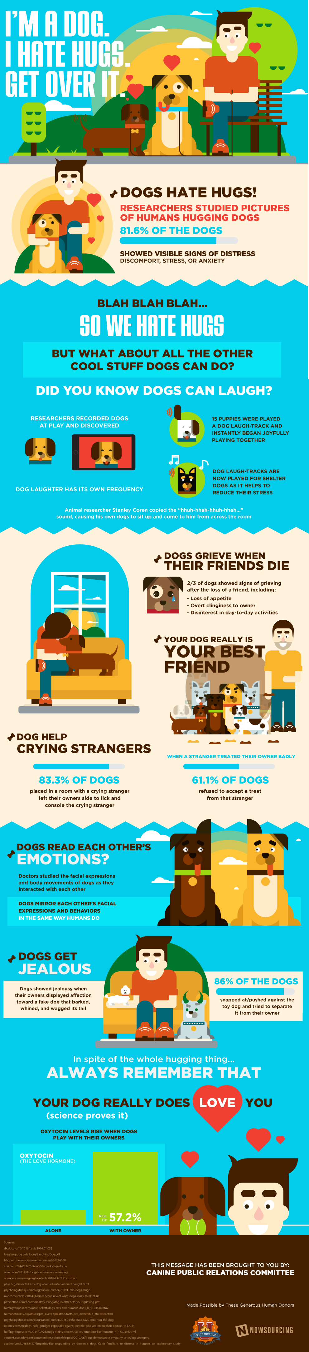 Seven Reasons Dogs Are Better Than Cats