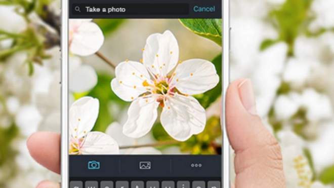 Shutterstock’s New iOS App Matches Images To Your iPhone Photos