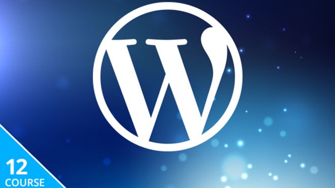Deals: Save 95% On The WordPress Wizard Bundle