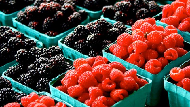 The Container Your Berries Come In Can Tell You About Their Health