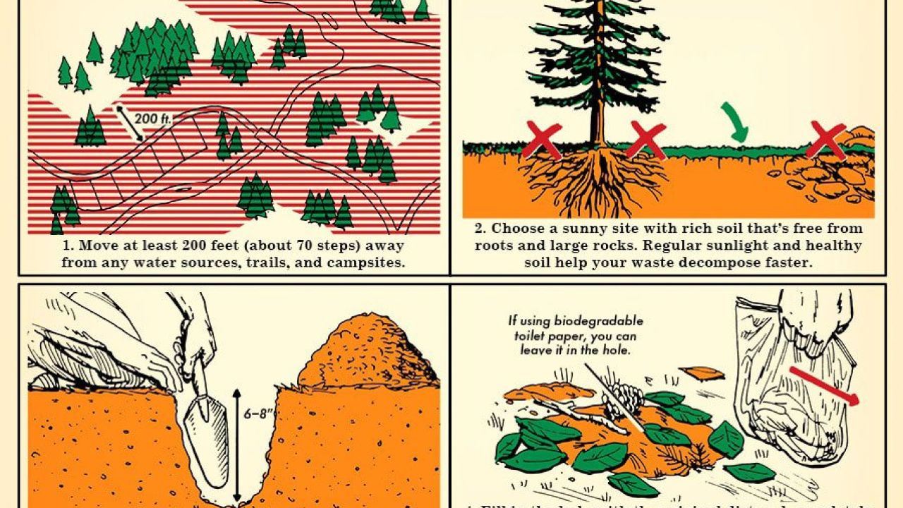 How To Poop In The Woods [Infographic]