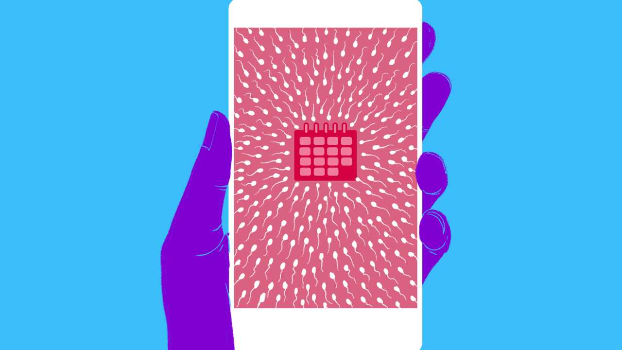 The Pros And Cons Of Using A Fertility App To Try To Get Pregnant
