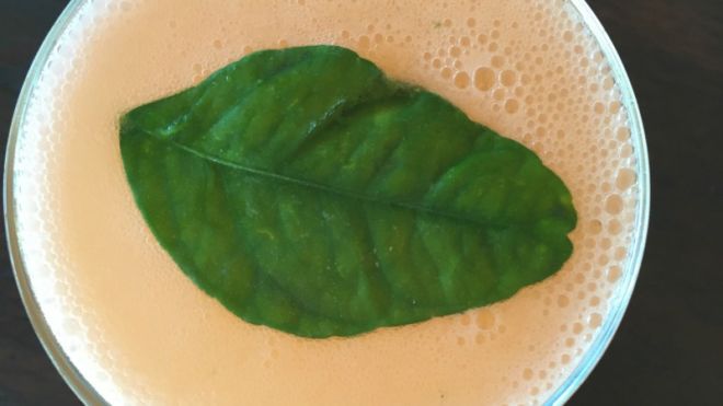 Why You Should Buy Makrut Lime Leaves Immediately