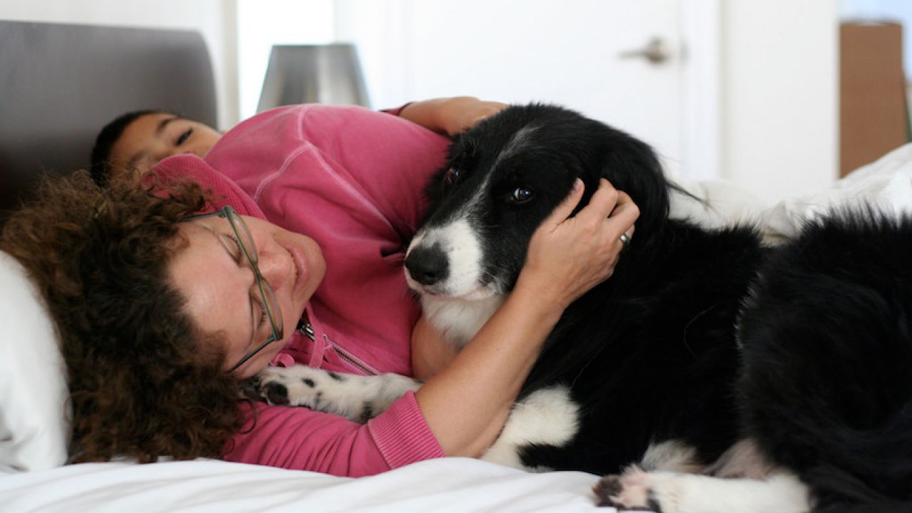 Your Dog Might Not Want A Hug, Here’s How To Tell