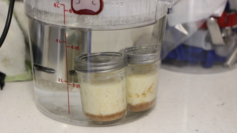 Will It Sous Vide? Creamy Cheesecake Edition