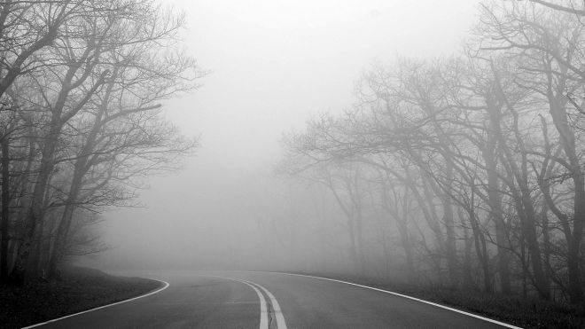 Limit How Much Information You Have To Process To Avoid ‘Mental Fog’