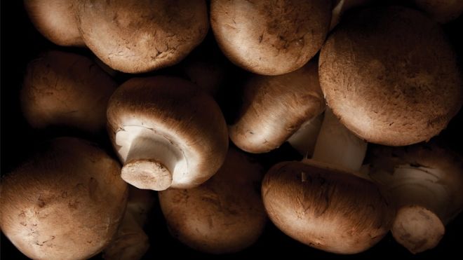 The Best Way To Rinse Mushrooms