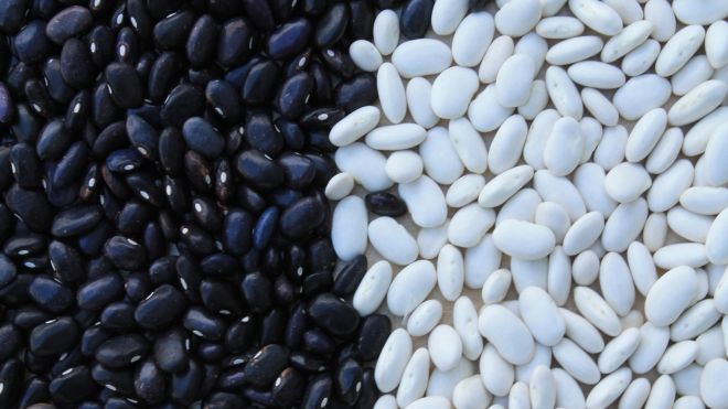 Add Beans To Your Smoothies For A Fibre And Protein Boost