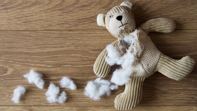 Internet-Connected Teddy Bears Exposed Personal Voice Recordings Of Kids And Parents