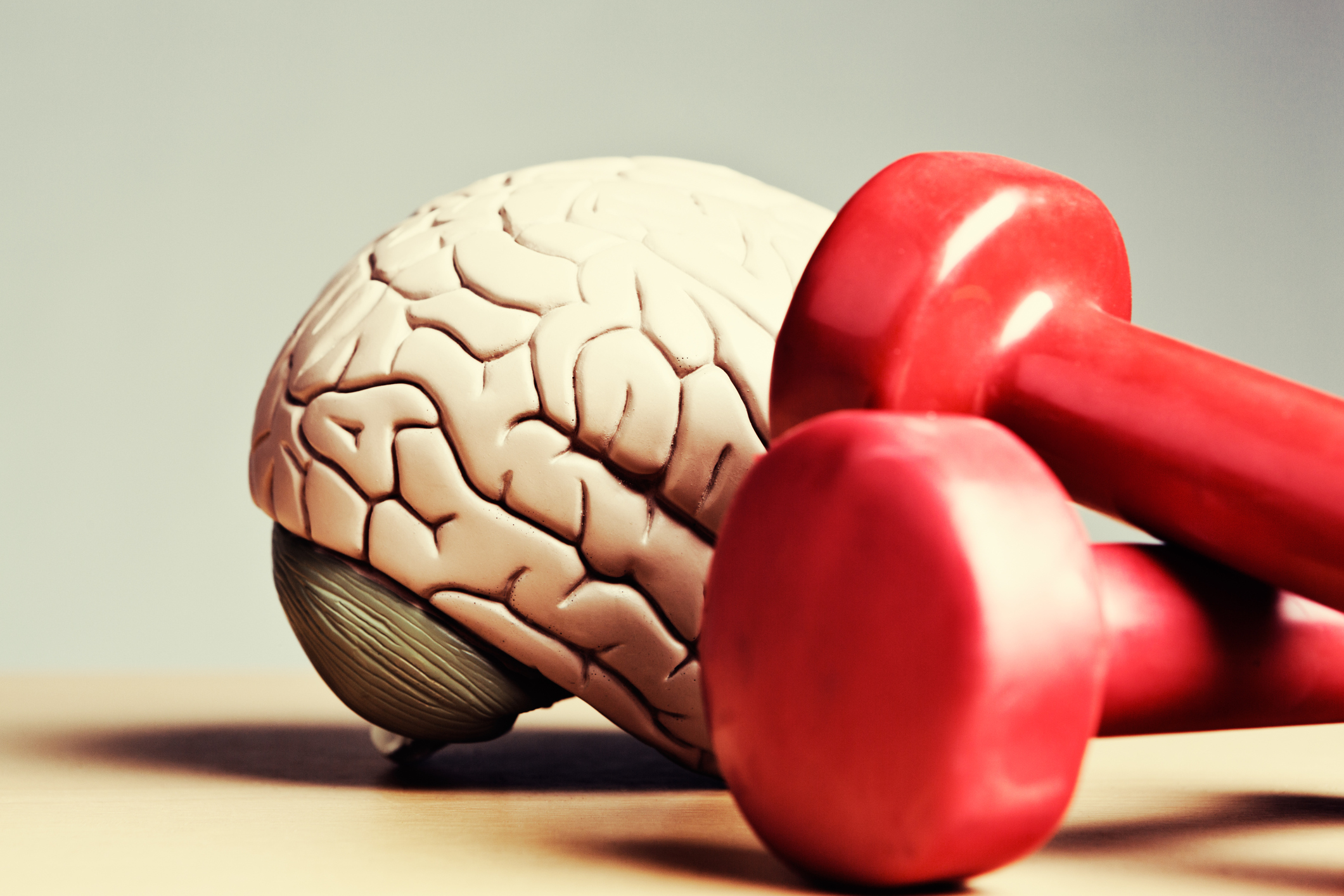 Brain and some. Мозг с боксерскими перчатками. Упражнения для мозга в картинках. Тренування мозку. Фитнес для мозга картинки.