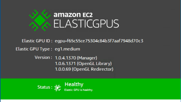 Amazon Makes EC2 Elastic GPUs for Windows Available