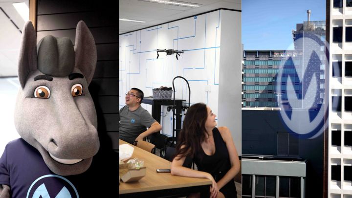 Featured Workplace: MuleSoft’s North Sydney Office
