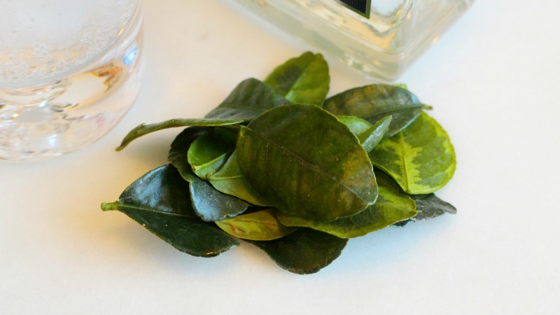 3-Ingredient Happy Hour: Lime Leaf G&T