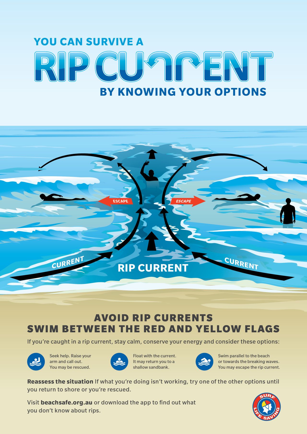 Learn How To Escape A Rip With This Handy Illustrated Guide