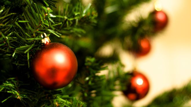 How To Choose The Perfect Christmas Tree