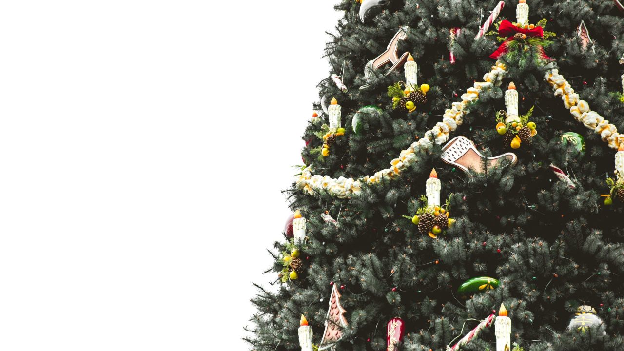 How To Keep Your Christmas Tree Alive Through The Holidays