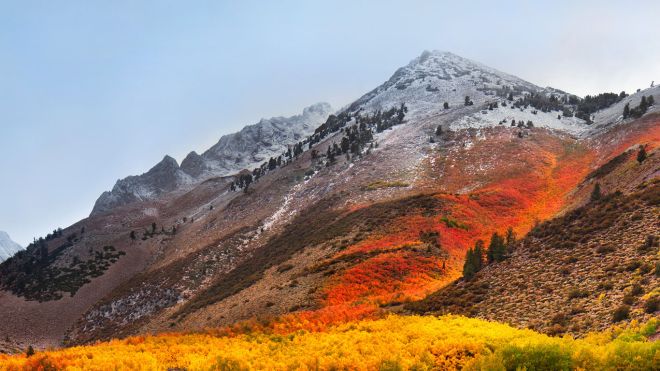 Updating macOS High Sierra Could Reactivate Root Password Vulnerability
