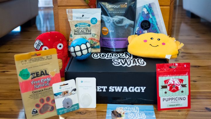 ‘Golden Swag’ Is Love In A Subscription Dog Box