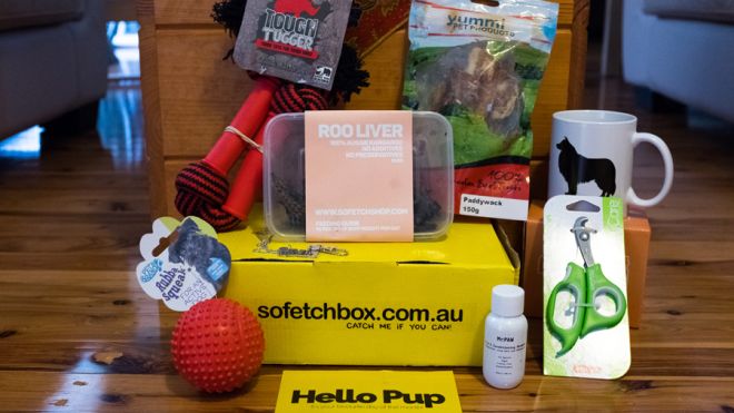 Subscription Dog Box ‘So Fetch’ Is A Mixed Bag