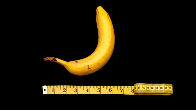 How Big Is An Average Size Penis? [Infographic]