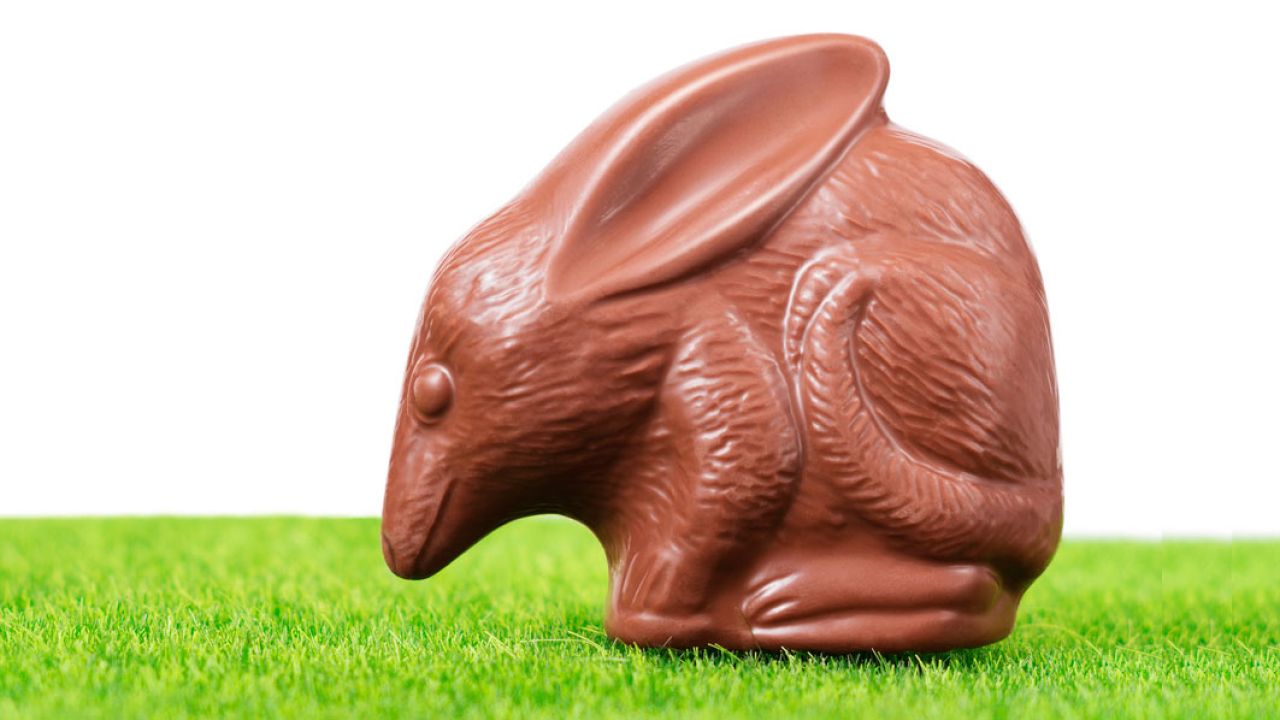 PSA: Cadbury Has Killed The Chocolate Easter Bilby