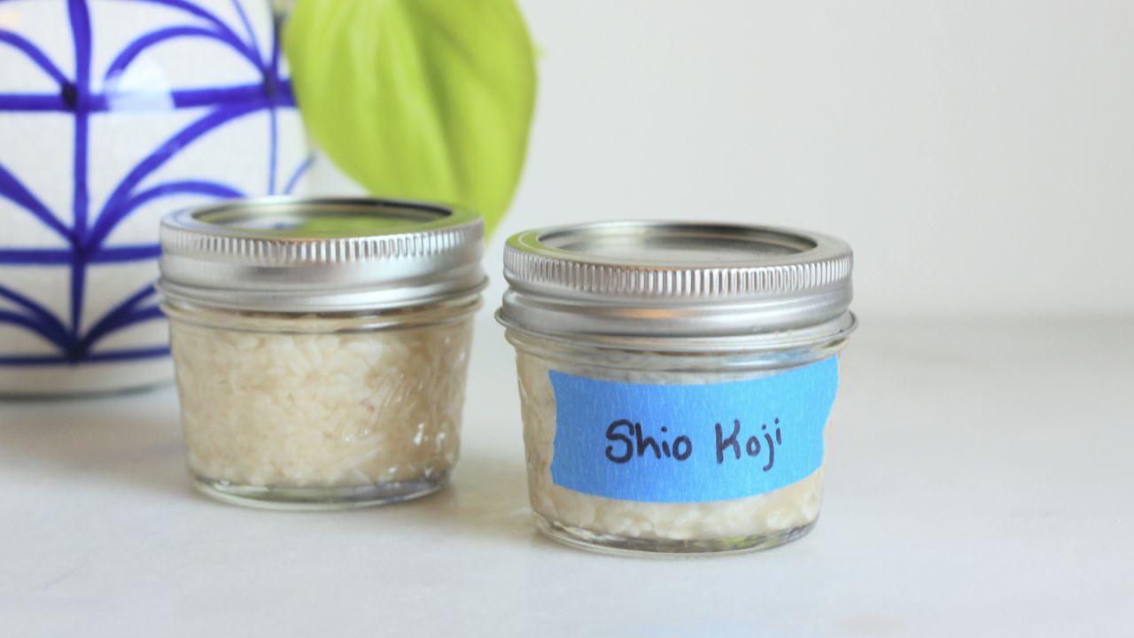 Shio Koji Helps Your Food Be Its Best Self