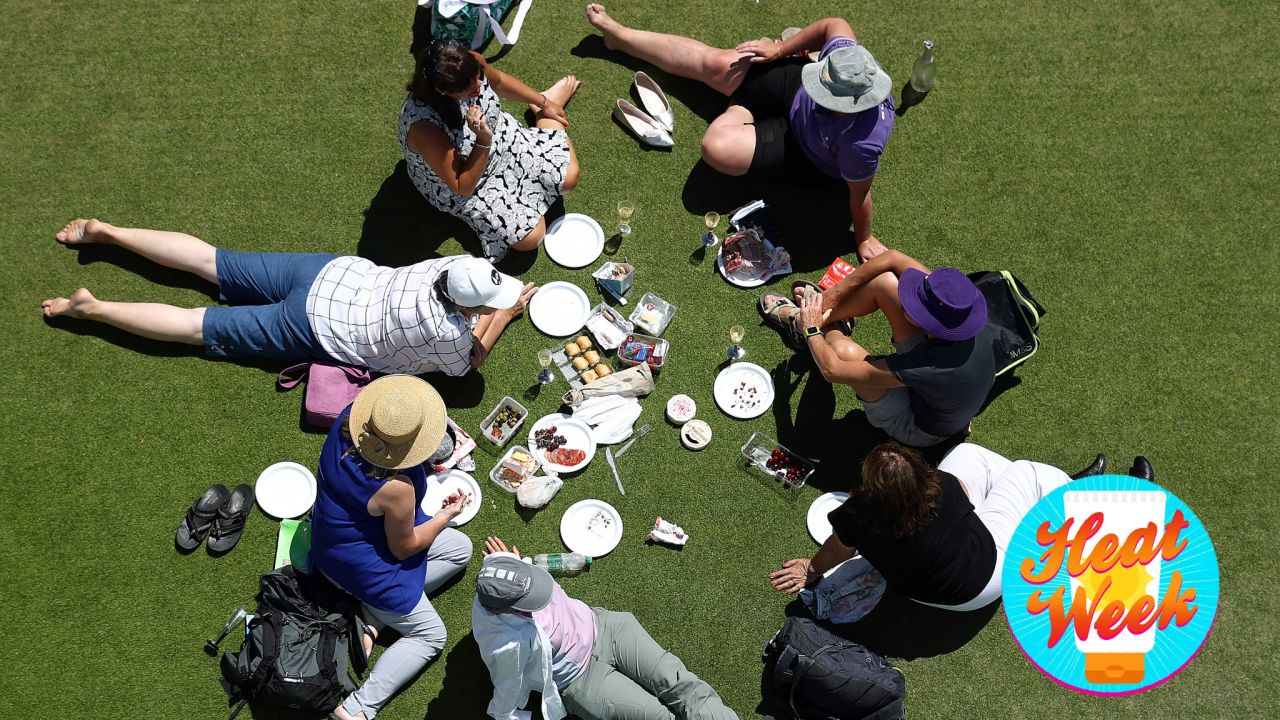 Here’s How Fast Your Picnic Food Goes Bad In The Heat