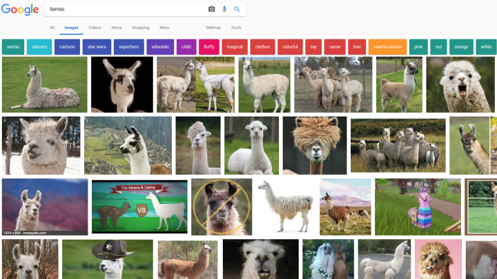 How To Perform A Reverse Image Search The Easy Way