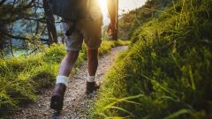 How To Find Local Bushwalking Trails