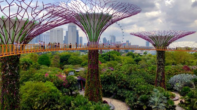 The Best Singapore Travel Tips From Our Readers