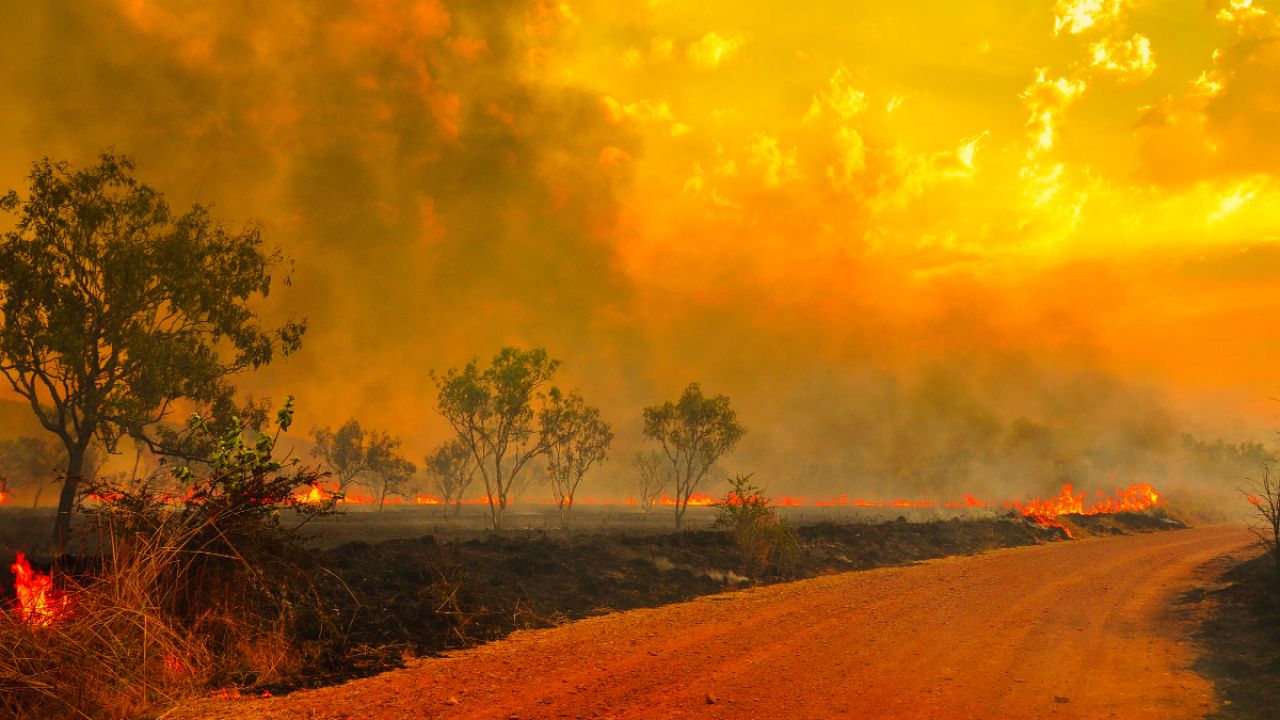 Bushfire Alert: The Sites And Apps You Need