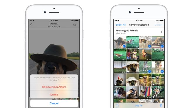 How To Really Delete Photos From Your iPhone Or iPad