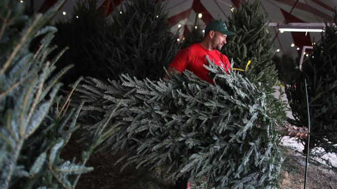 Save Money On Your Christmas Tree By Asking For A Dud