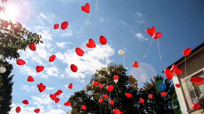 Stop Releasing Balloons Into The Sky