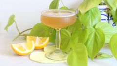 Inject Some Sunshine Into Your Weekend With This Sunny Rum Drink