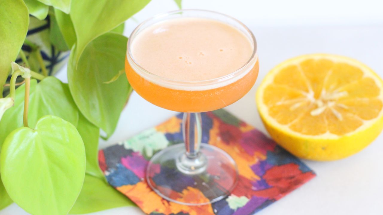 Enjoy The Refreshing Taste Of Citrus With This Cocktail