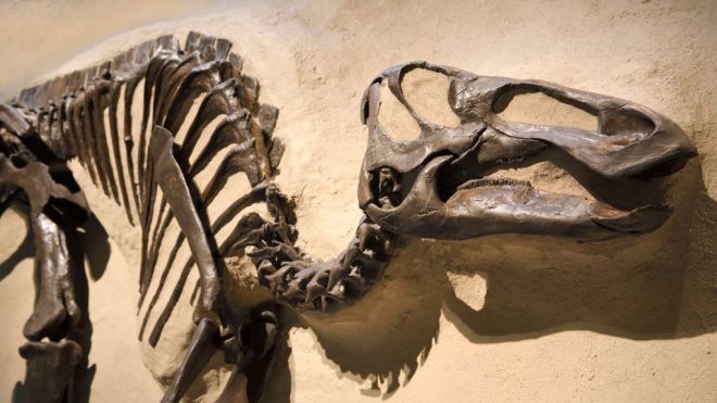 There’s A New Theory On What Killed The Dinosaurs