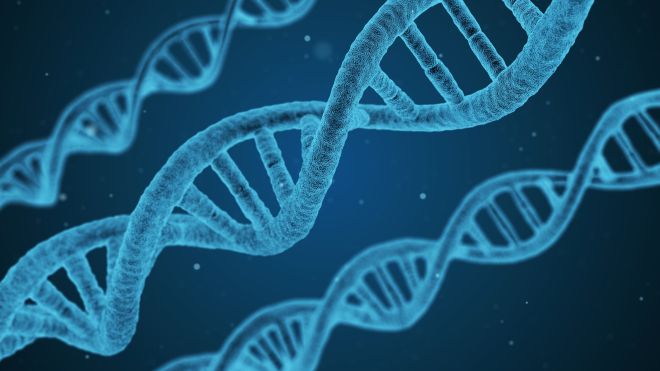 Which DNA Databases Are The Best And Worst For Privacy?