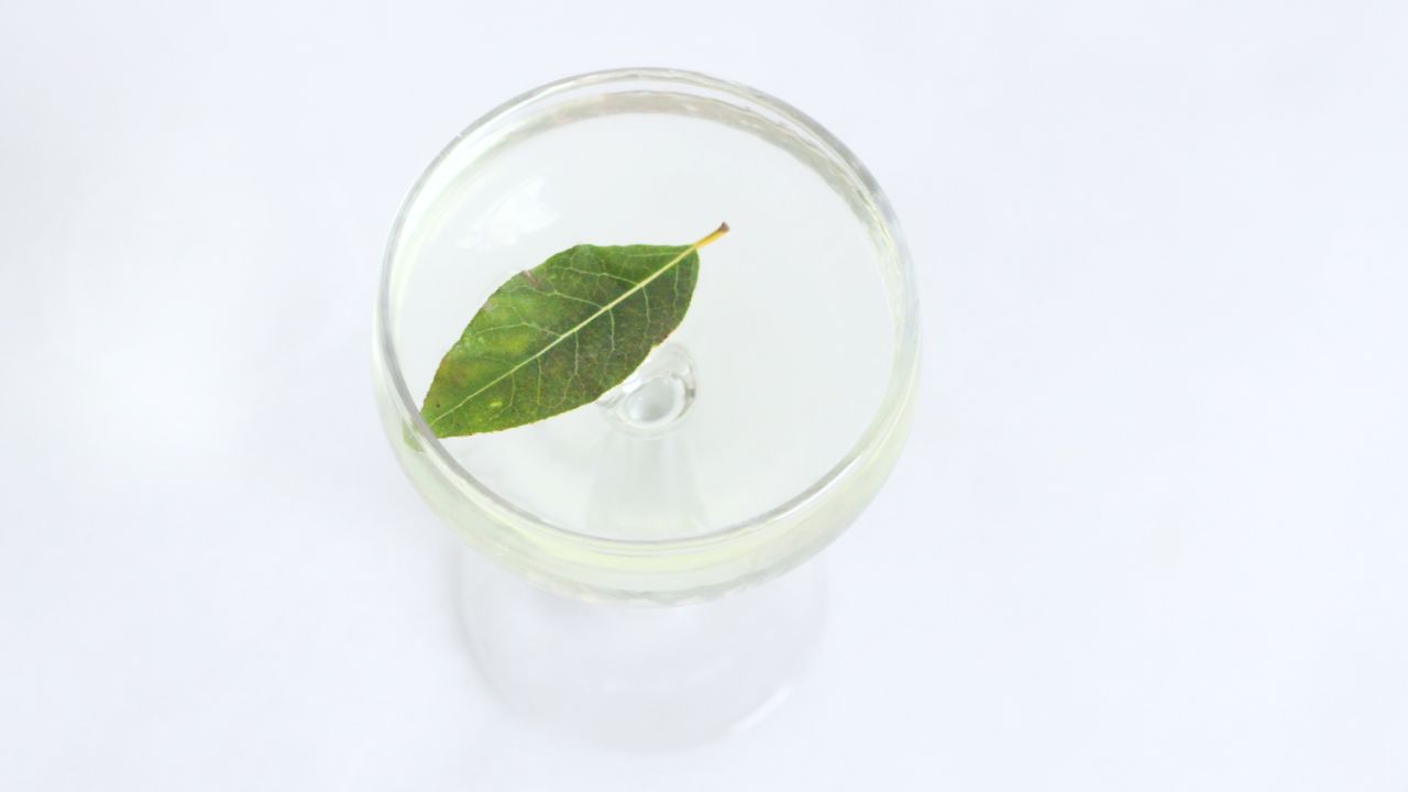 How To Make Bay Leaf Gin