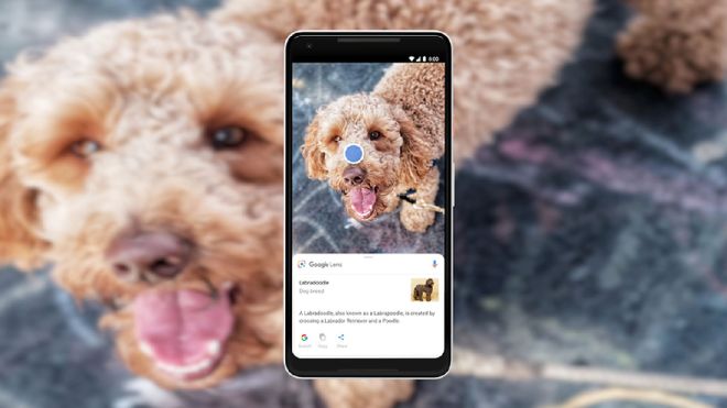 AI Test: Can Google Lens Actually Recognise Stuff?
