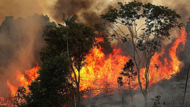 The Amazon Fires: Five Things You Need To Know