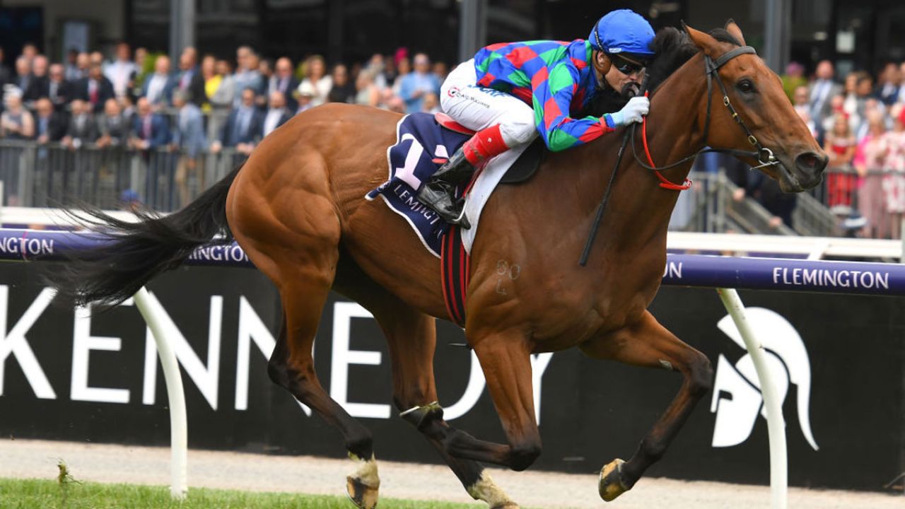 HERE THEY ARE: The Macquarie Quant Team’s Tips For The 2019 Melbourne Cup