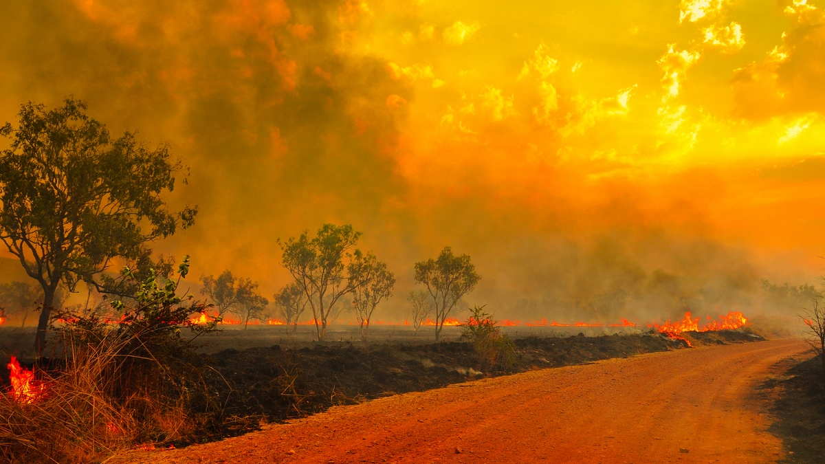 Explainer: What Really Causes Australian Bushfires?
