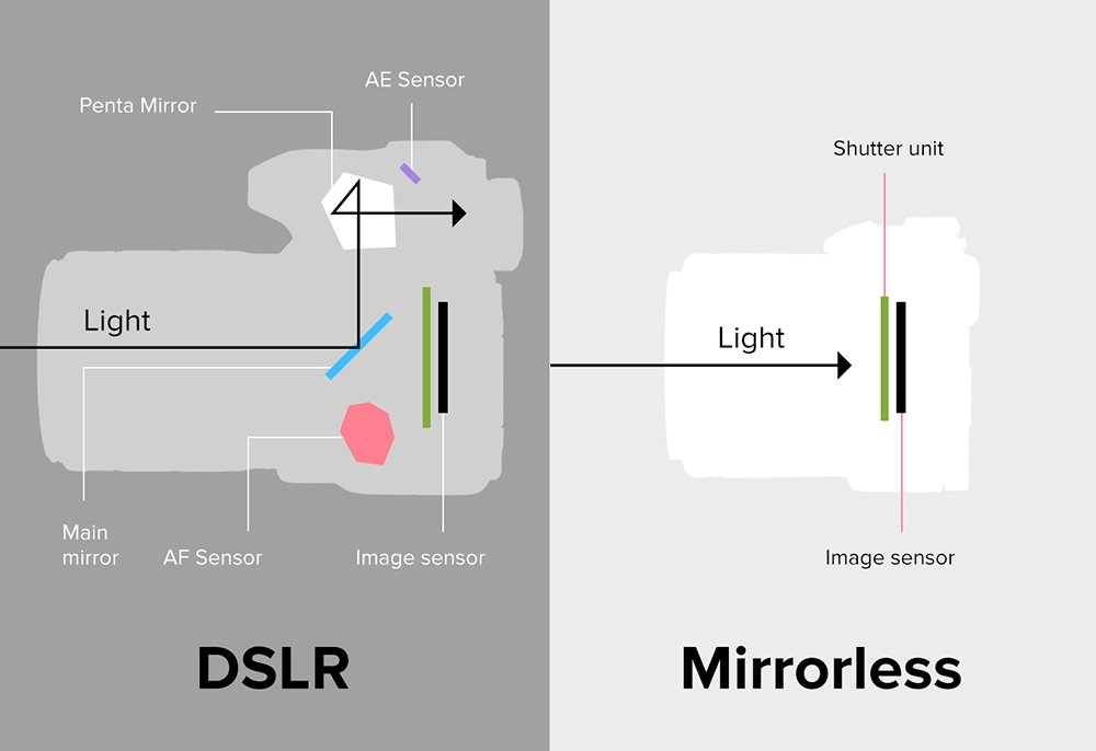 The Difference Between Mirrorless Cameras And DSLRs