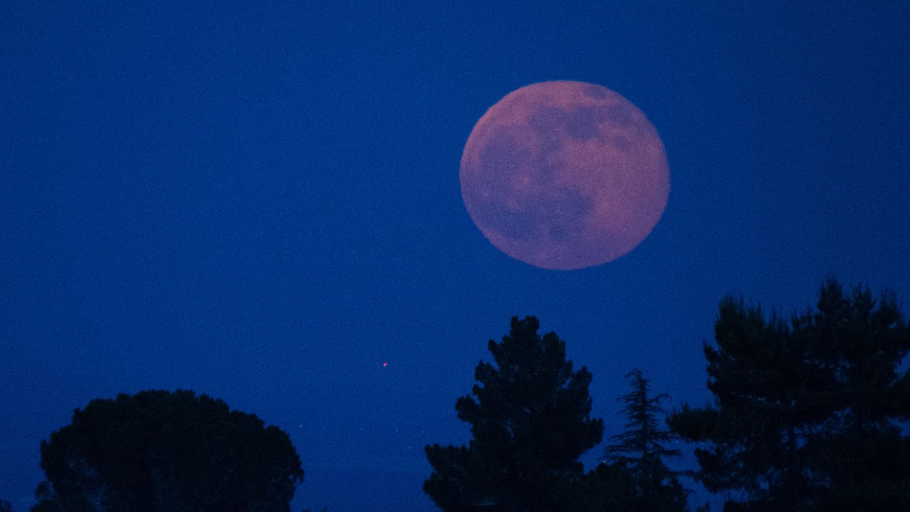 How to Watch the 2020 Strawberry Moon Eclipse This Weekend in Australia