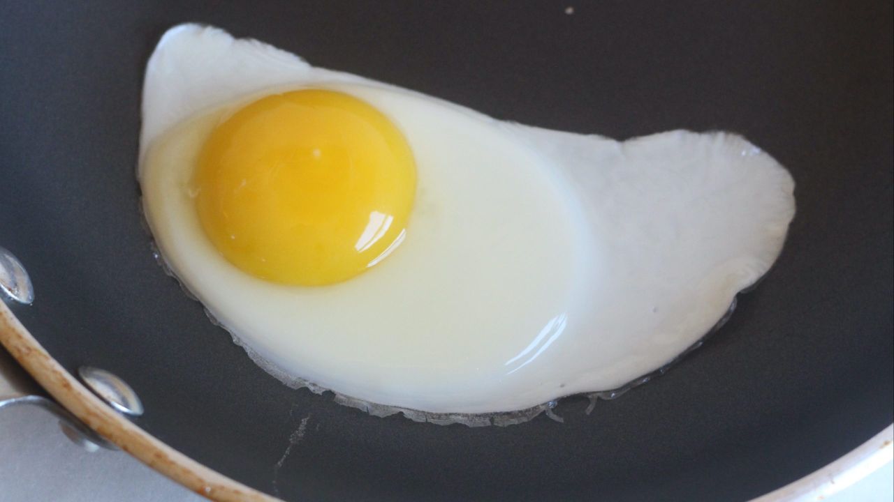 An unstrained egg (Photo: Claire Lower)